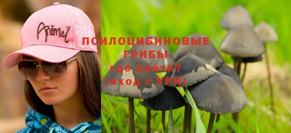 круглые Аркадак