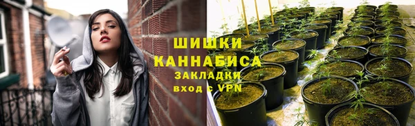 меф Арсеньев