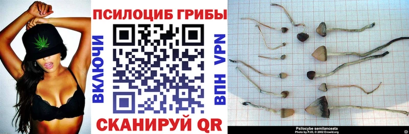 цены   Струнино  Псилоцибиновые грибы мухоморы 